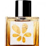 m-micallef-vanille-fleur